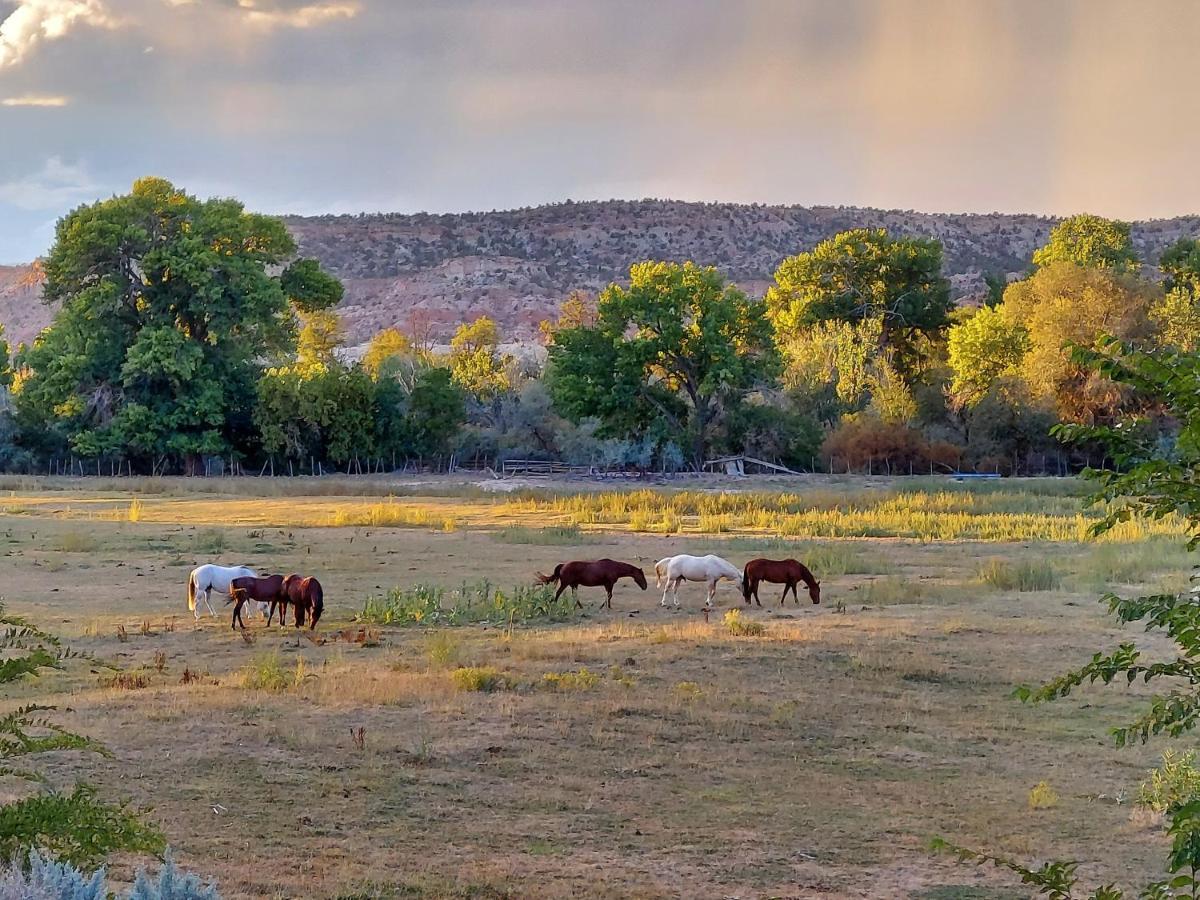 Canyons Of Escalante Rv Park Eksteriør billede