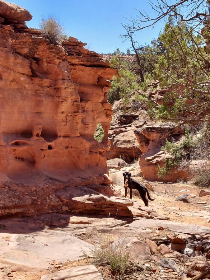 Canyons Of Escalante Rv Park Eksteriør billede