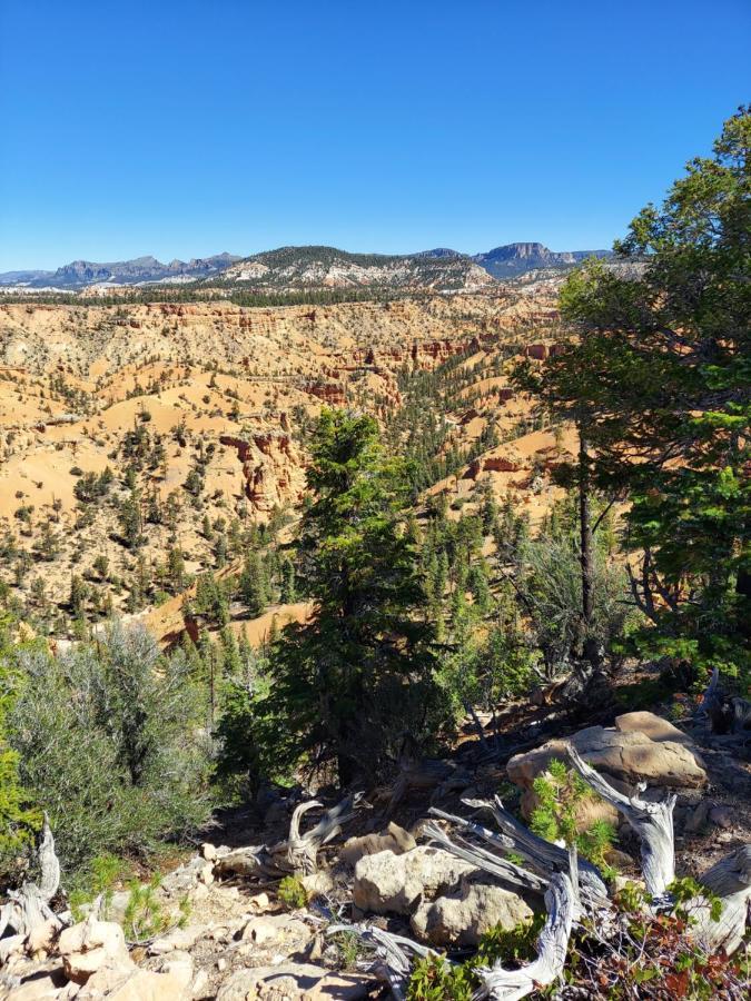 Canyons Of Escalante Rv Park Eksteriør billede